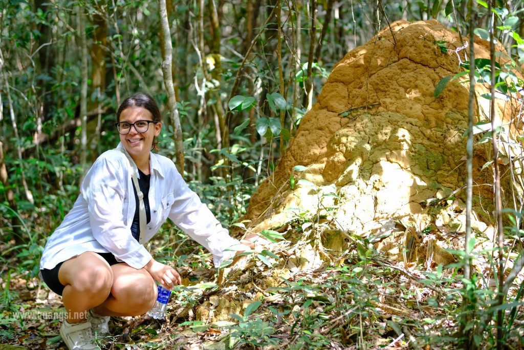 Termite-mound