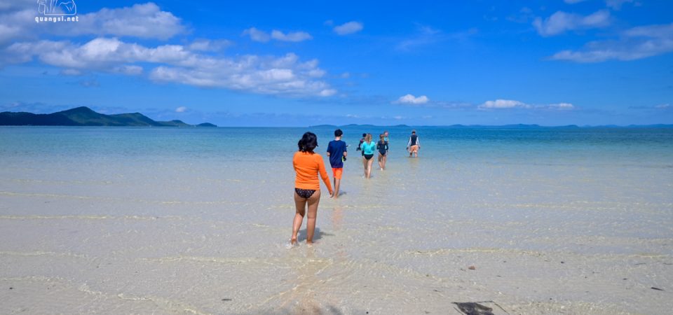 view of starfish beach