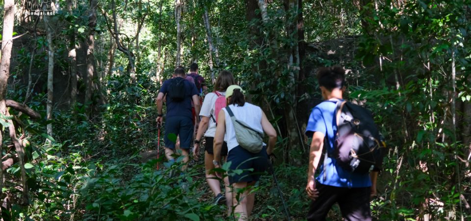 trekking in the forest