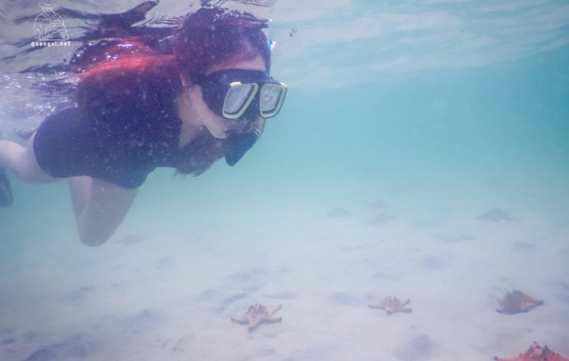 Starfish Beach Private Snorkeling Tour