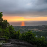 Gallery Thumbnail 8