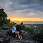 Gallery Thumbnail 9