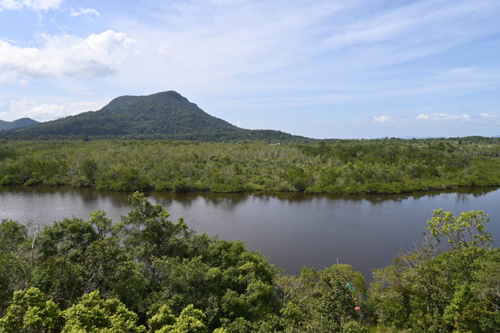 Best Tips for Visiting Phu Quoc National Park