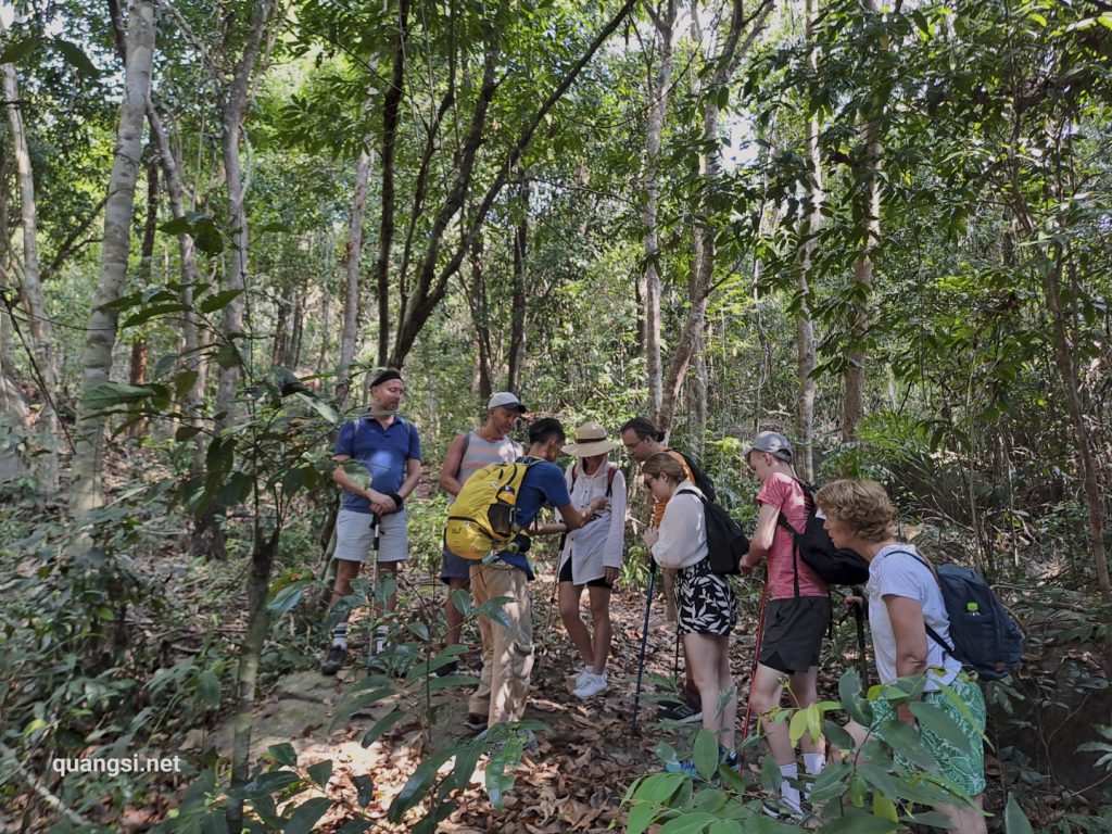 a group of people standing in a forest