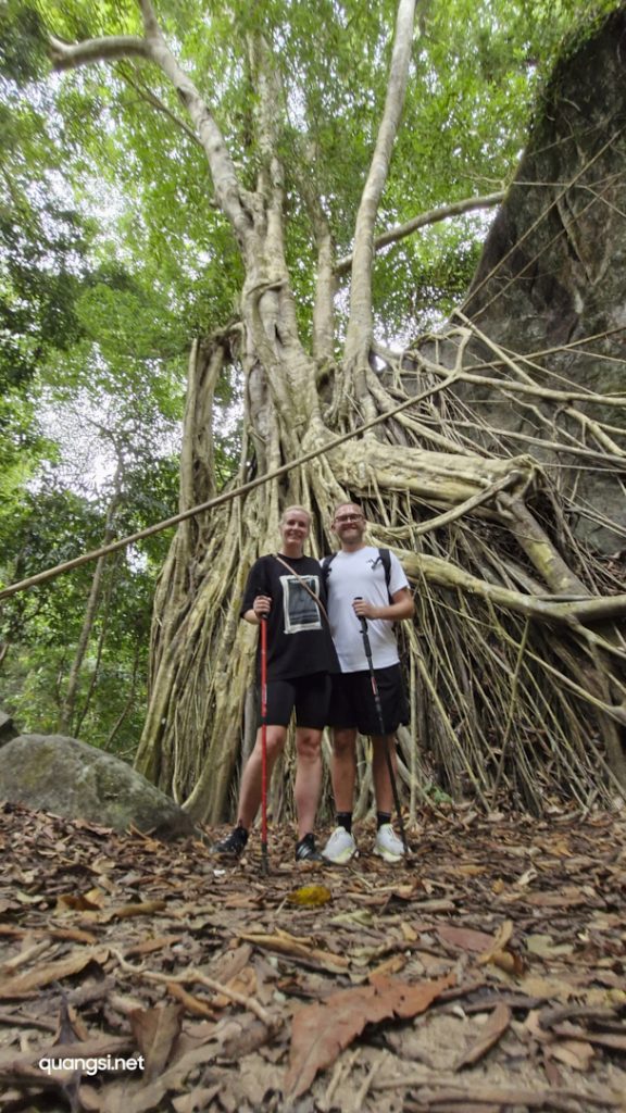 two people standing in front of a tree