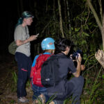 Gallery Thumbnail 3