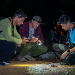Gallery Thumbnail 14