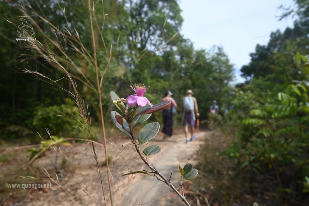 Best Tips for Visiting Phu Quoc National Park