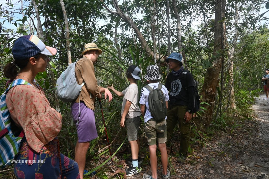 Conquer Suoi Da Ngon Phu Quoc in 5 Hours