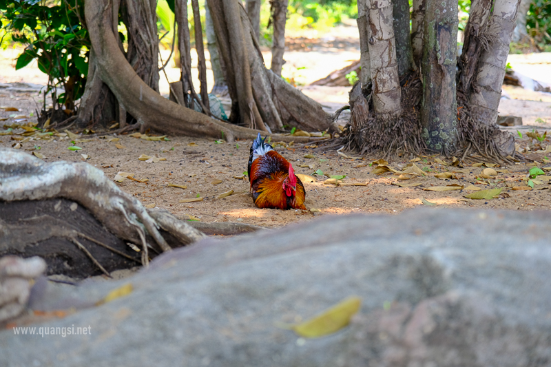 Exploring Hòn Một - The Hidden Gem of Phu Quoc Island