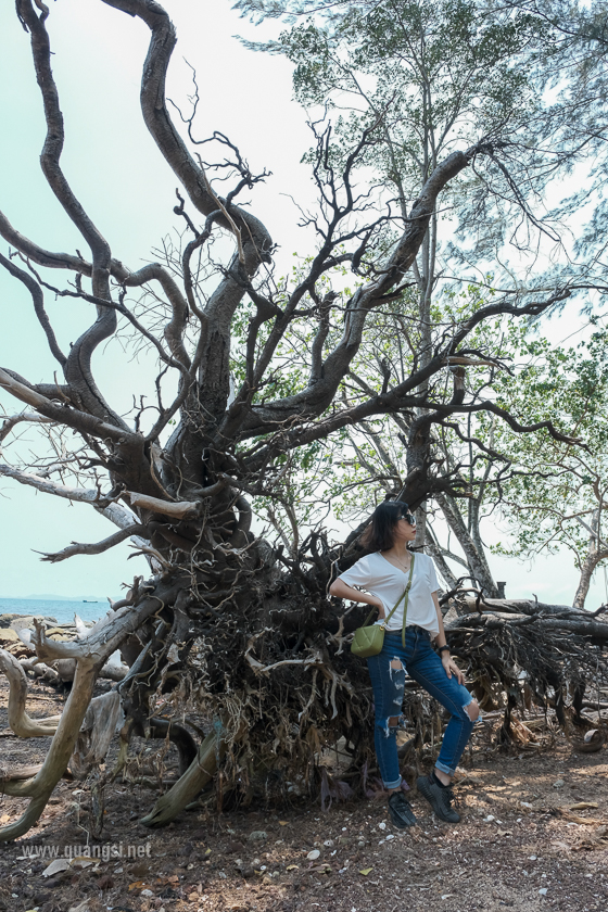 a woman standing next to a tree at Hon Mot