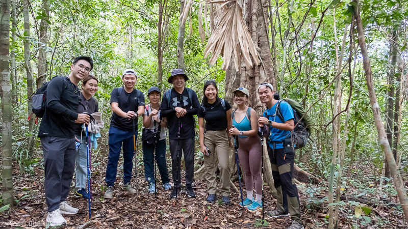 Suoi Tien 4 Hour Jungle Easy Trek and Spring Bath