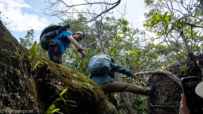 Suoi Tien 4 Hour Jungle Easy Trek and Spring Bath