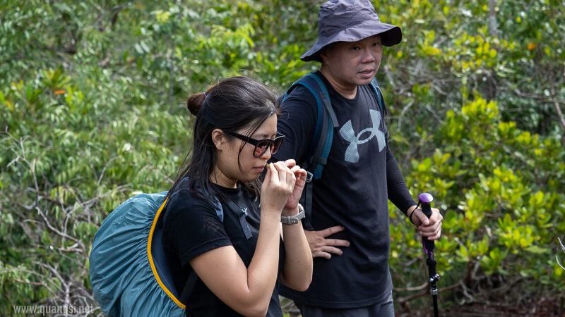 Suoi Tien 4 Hour Jungle Easy Trek and Spring Bath