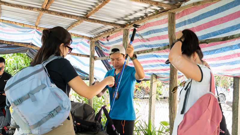 Suoi Tien 4 Hour Jungle Easy Trek and Spring Bath