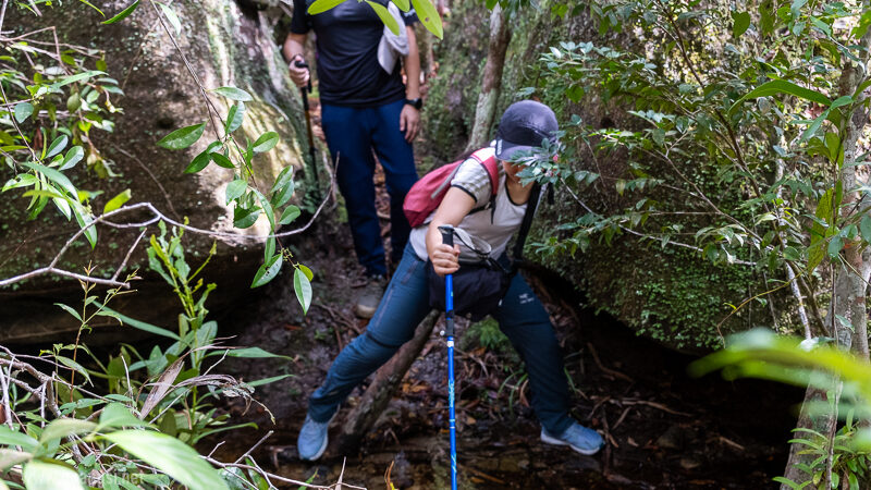 Suoi Tien 4 Hour Jungle Easy Trek and Spring Bath