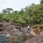 Gallery Thumbnail 11