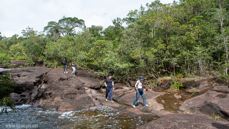 Suoi Tien 4 Hour Jungle Easy Trek and Spring Bath