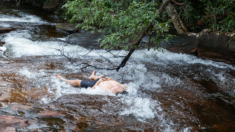 Suoi Tien 4 Hour Jungle Easy Trek and Spring Bath