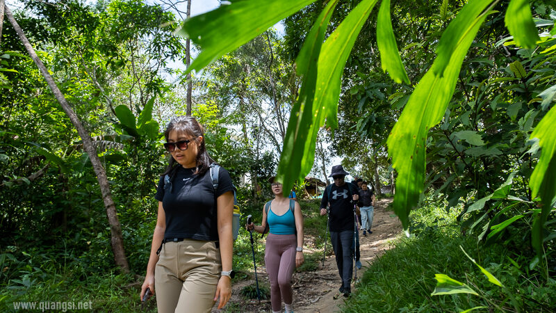 Suoi Tien 4 Hour Jungle Easy Trek and Spring Bath