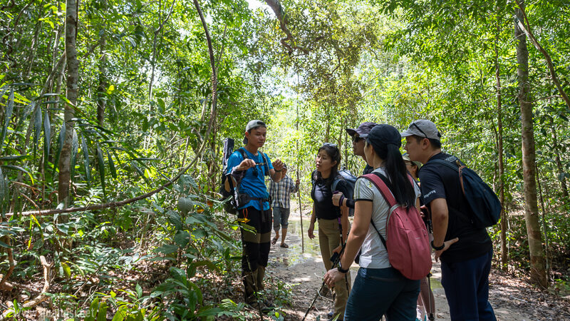Suoi Tien 4 Hour Jungle Easy Trek and Spring Bath
