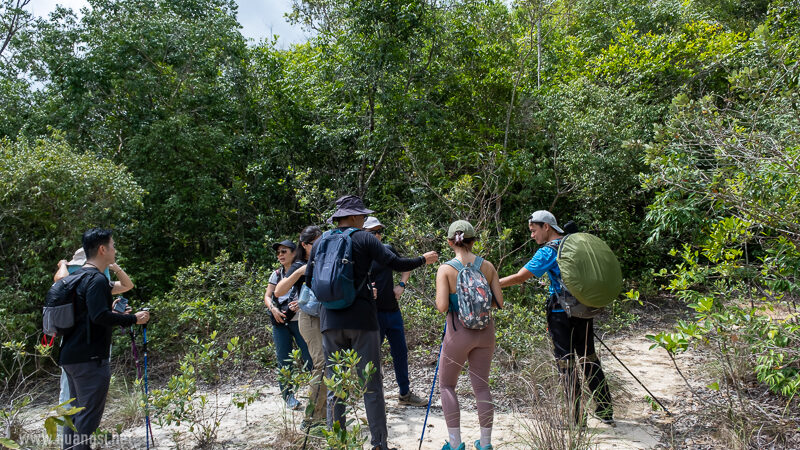 Suoi Tien 4 Hour Jungle Easy Trek and Spring Bath