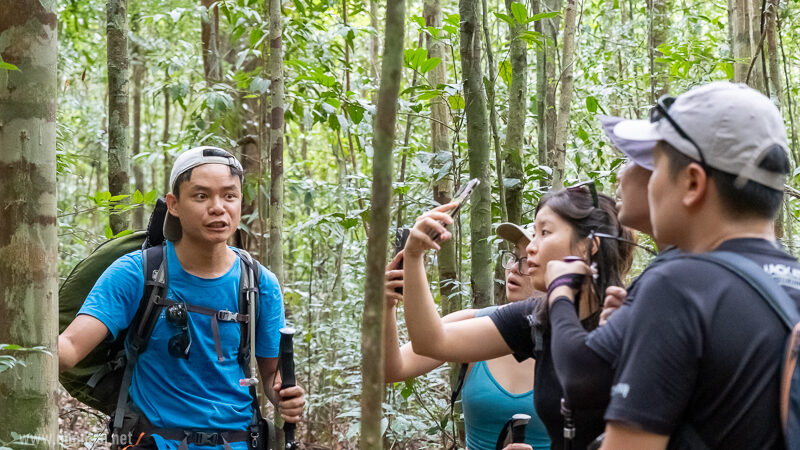 Suoi Tien 4 Hour Jungle Easy Trek and Spring Bath