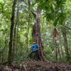 Suoi Tien