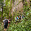 Trekking Phu Quoc National Park