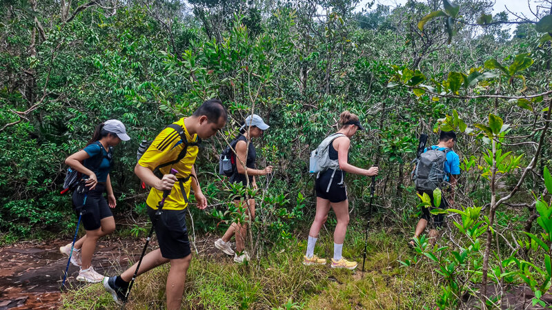 walking through jungle