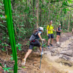 Gallery Thumbnail 11