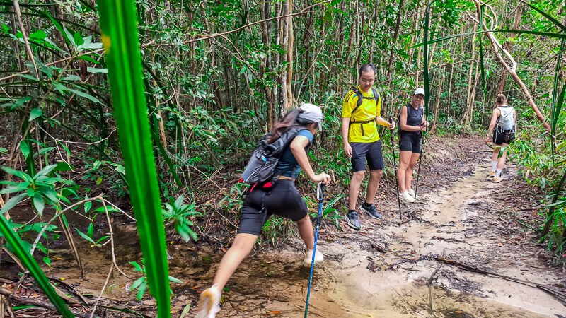 1 Day Trekking and Swimming in Suoi Da Ngon