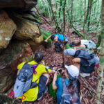 Gallery Thumbnail 10