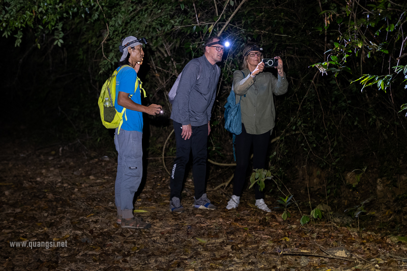 Phu Quoc Herping Tour An Unforgettable Night in the Wild