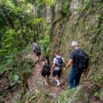 Gallery Thumbnail 15