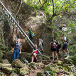 Gallery Thumbnail 16