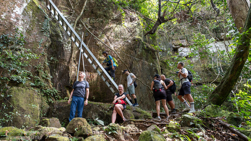 climbing to the ladder