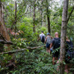 Gallery Thumbnail 18