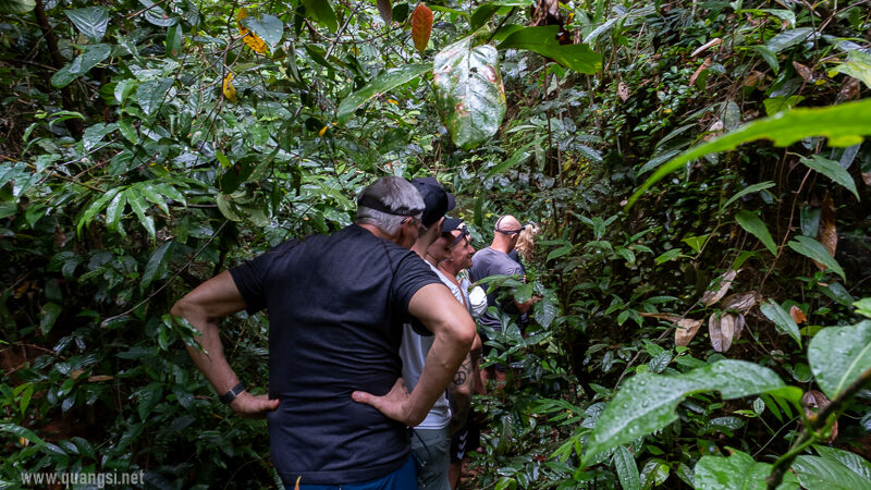 on the way to visit the bat cave phu quoc