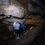 Gallery Thumbnail 20