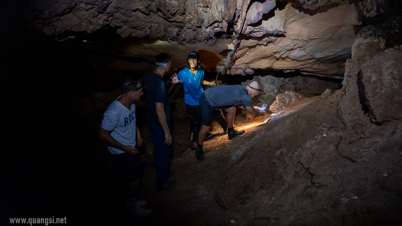 looking for the animals in the cave