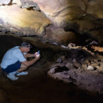 Gallery Thumbnail 21