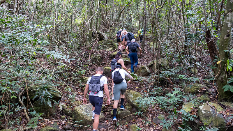 trekking up to the hill