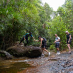 Gallery Thumbnail 25