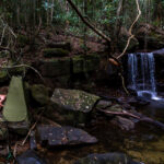 Gallery Thumbnail 27