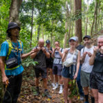 Gallery Thumbnail 12