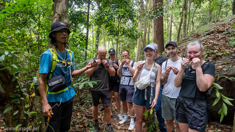 trying the star apple under the star apple tree