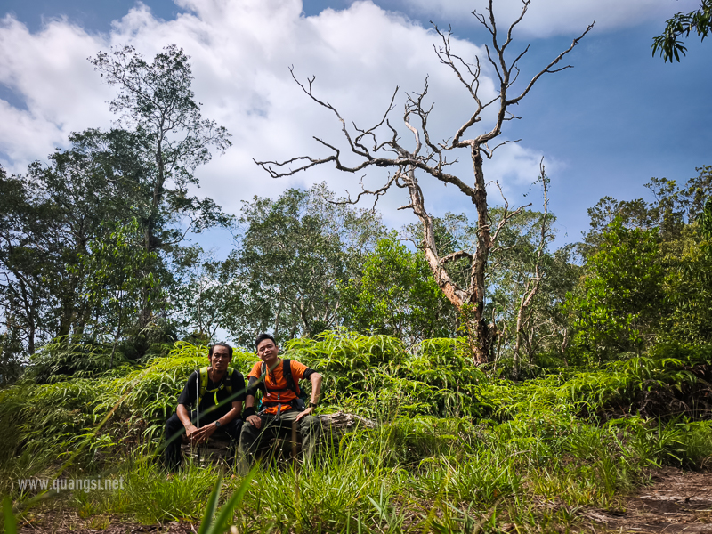 Rach-Tram-Phu-Quoc-Cajuput-Forest (22)